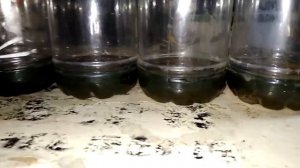 Ваз 2112. Долгий запуск двигателя на холодную.