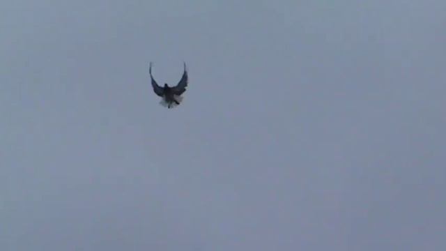 СВГ-2016 Леонов Сергей смотреть онлайн