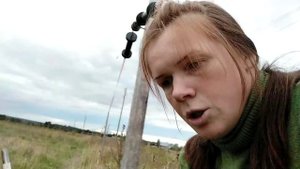 Терские лошади. Вечерний выпуск новостей. Массаж для коня, дочь в табуне, вопросы о корове
