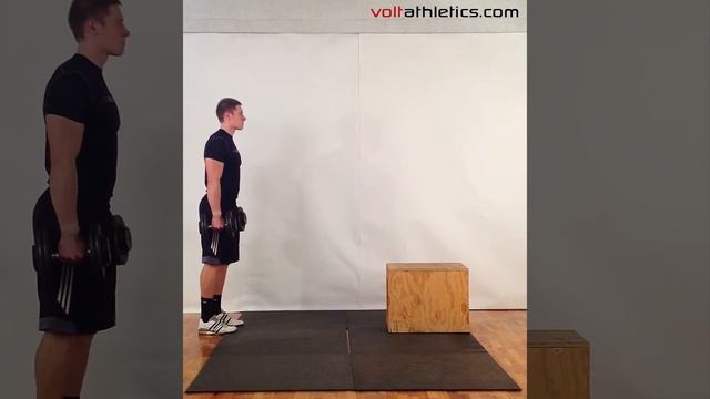 DB Lunge + Step-Up | Volt Athletics