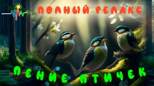 40 минут пение птичек в лесу, живая запись. 40 минут релакса!