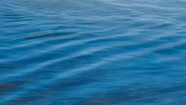 Progressive Muscle Relaxation