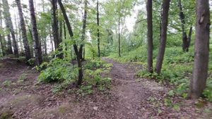 Учинское водохранилище. Пешая прогулка. Сильный ветер 07.06.2023