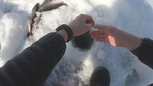 Рыбалка на реке Иркут весной. Лунка на сильном течении.