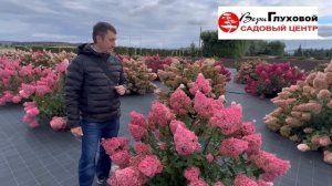 Обзор гортензий в Садовом Центре Веры Глуховой,от фотозоны-парка гортензий-поле гортензий,10.09.202