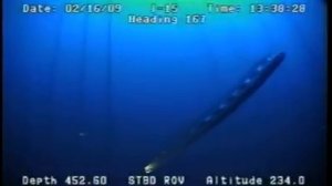 Giant SEA MONSTER caught on camera for the first time