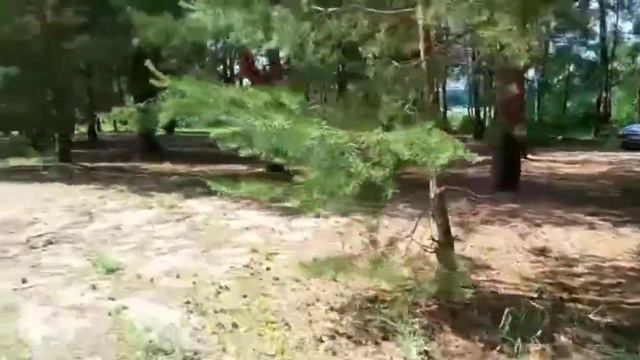 Липецкое водохранилище Малейский затон
