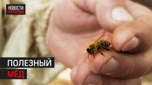 ЖИТЕЛЬ ИЗ БАЛАШИХИ ОБУЧАЕТ ЛЕНИВОМУ ПЧЕЛОВОДСТВУ