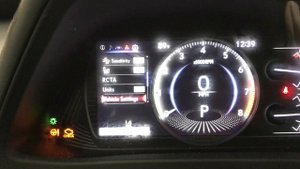 2020 Lexus UX200 maintenance light reset