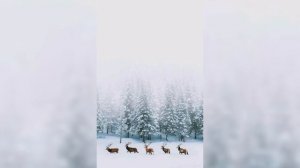 Звуки холода, зимы, мороза