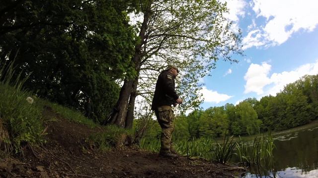 NGF#422 Carrot Stix Wild Wild Green Pro. Покидушки Тест смотреть онлайн