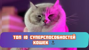 Топ 10 самых шокирующих фактов о наших четвероногих друзьях ?