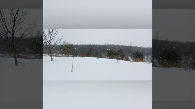 ЩЕДРИК БЕЗ СЛОВ# ЛЕОНТОВИЧ смотреть онлайн