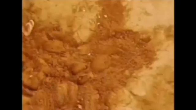 Все заставки Disney/Солнце(2010-2024)