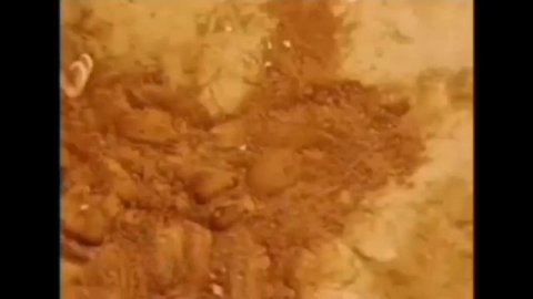 Все заставки Disney/Солнце(2010-2024)