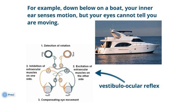 OTC of the GIT - 1 امراض الجهاز الهضمي الحلقة смотреть онлайн