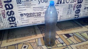 Как поймать мышку в квартире.