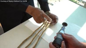 Все таки срезал самые длинные ногти в мире