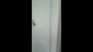 Душевая кабина с низким поддоном Aulica 5101