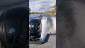 Волжанка Fish Pro 50 не едет......
