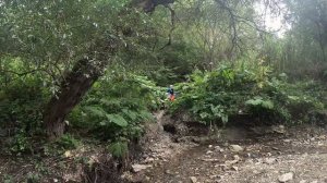 ЭНДУРО КЛИП