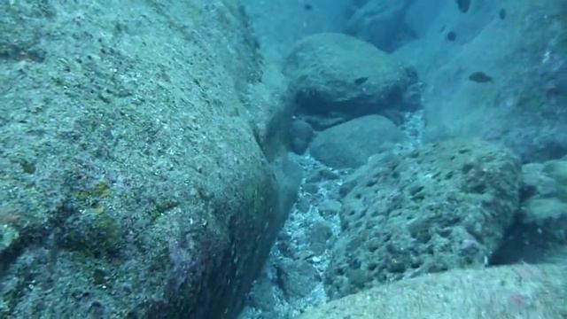 与那国海底遺跡（城門～二枚岩）