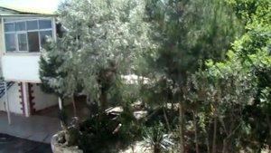 Дача в Баку от компании RNS(недвижимость в Баку) часть 1