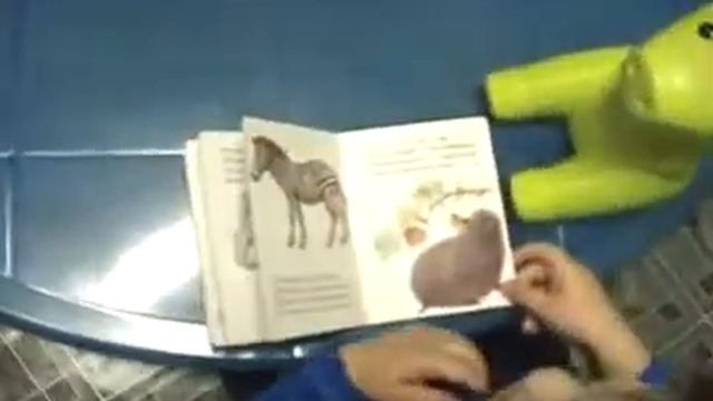 Галотерапия в детском саду Жемчужинка