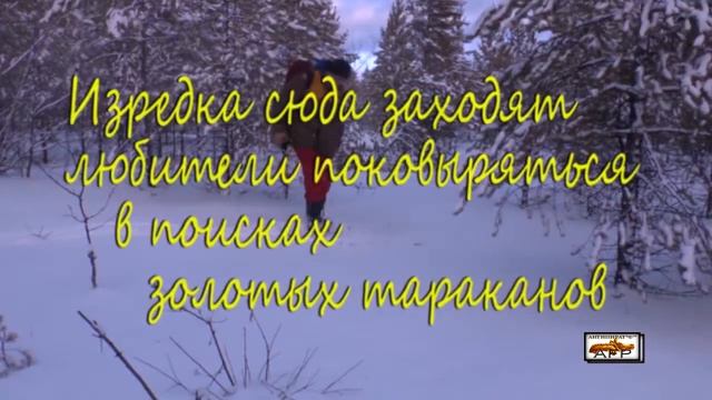 А 01 ПВД Золотая Долина 2013 г смотреть онлайн
