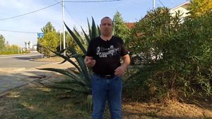 Как зарабатывать 800 000 рублей в месяц без вложений?