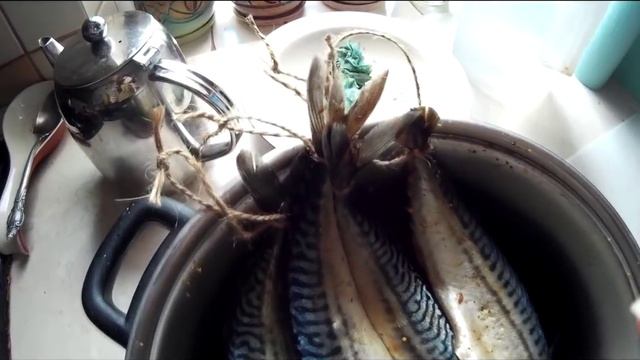 Скумбрия холодного копчения. Очень холодного. Проще простого.