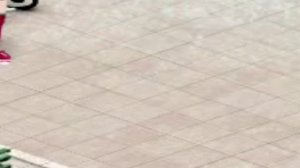 Клип|Da Kooka|Бледно-белые розы|#1