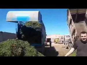 Прицеп Ярославич ПСП 25 ГИГАНТ на выгрузке сенажа