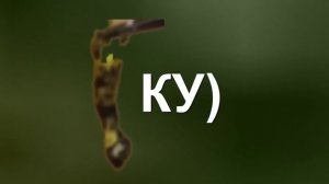 КАК СОЗДАТЬ ГОМУНКУЛА | КТО ТАКИЕ ГОМУНКУЛЫ