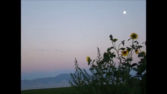 Sony H9 Gentled смотреть онлайн