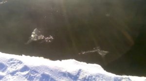 Ханты-Мансийск. Осеняя, зимняя рыбалка руками и сачком щуку.