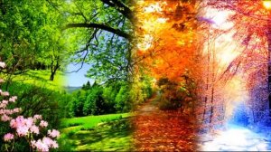 Уроки музыки. 1 класс. Урок 14. "Природа вокруг нас"