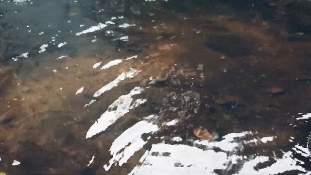 Поход выходного дня в Краснолесье. Лагерь 