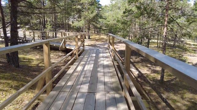 Эко-тропа «Долина реки Выбья и Лужская губа» смотреть онлайн