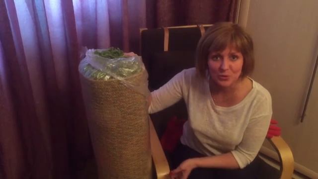 Отзыв о стирке ковров на Фабрике PROTRY от Софии смотреть онлайн