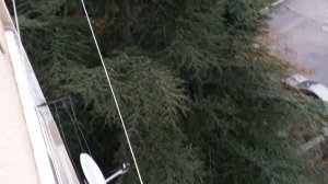 Алушта пгт Партенит продажа двух комнатной квартиры с видом на море+7 978 738 -60-39