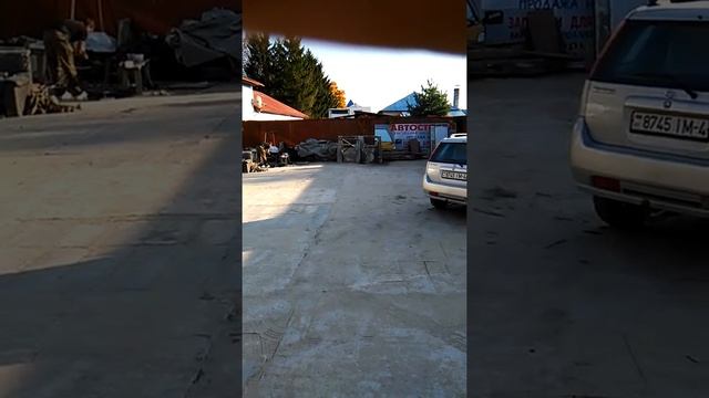 Обезьяна Гамадрил(3) смотреть онлайн