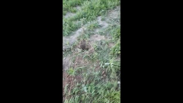 Столбчатый фундамент под домик - бытовку 3х6 м (своими руками)
