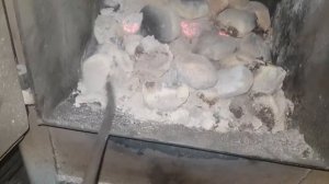 Угольные топливные брикеты 12 часов спустя.