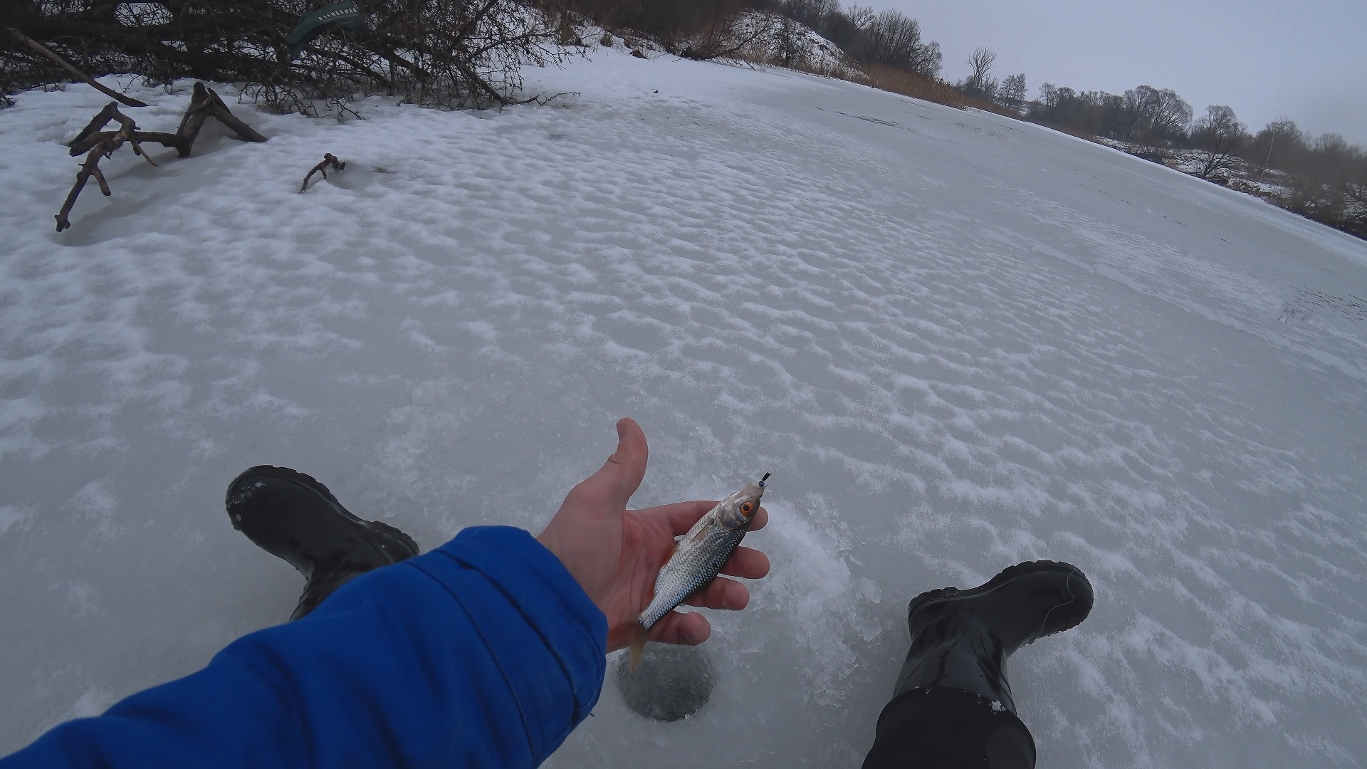 Первый лед в 2023. Рыбалка 1 января. Плотва и окунь на безмотылку.