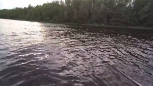 Рыбалка на реке Свирь.  Ловля судака на джиг.  Поиск рыбы на незнакомом месте.