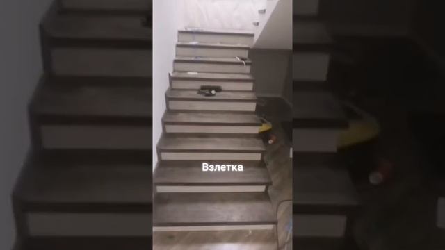 Мне срочно нужна такая лестница | прикол смотреть онлайн