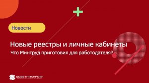 Новые реестры и личные кабинеты: что Минтруд приготовил для работодателя? #советникпроф