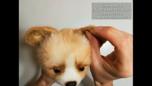 Обучающий видеокурс "Щенок корги"