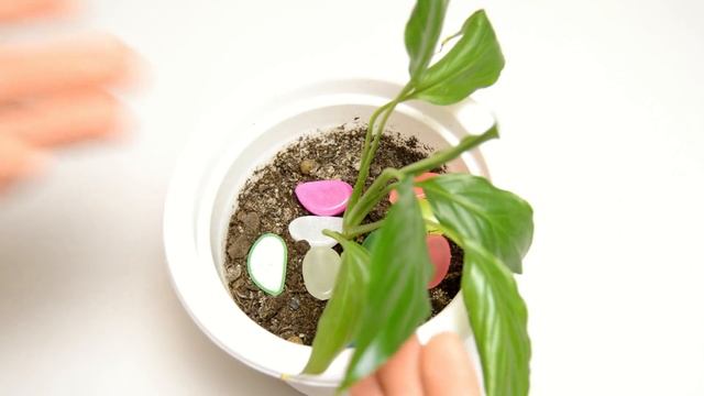 КРУТЫЕ СВЕТЯЩИЕСЯ КАМНИ! смотреть онлайн